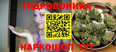 эйфоретик Краснознаменск